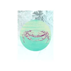 Wandbild Crab Sea 50x70 cm ^ Komar Best