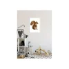 Wandbild Cute Animal Squirrel 50x70 cm ^ Komar Online