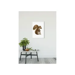 Wandbild Cute Animal Squirrel 50x70 cm ^ Komar Online