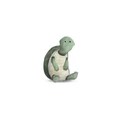 Wandbild Cute Animal Turtle 50x70 cm ^ Komar