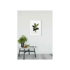Wandbild Elastica Leaf 50x70 cm ^ Komar