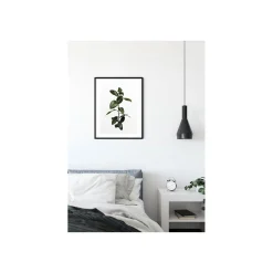 Wandbild Ficus Branch 50x70 cm ^ Komar Online