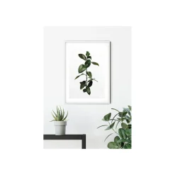 Wandbild Ficus Branch 40x50 cm ^ Komar Outlet