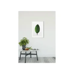 Wandbild Ficus Leaf 50x70 cm ^ Komar Hot