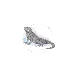 Wandbild Iguana Watercolor 50x70 cm ^ Komar Best
