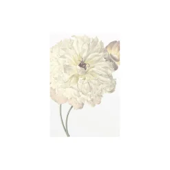Wandbild Illustration Dahlia 40x50 cm ^ Komar Clearance