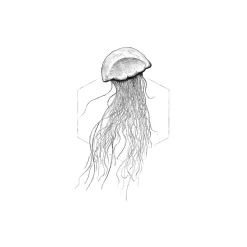 Wandbild Jellyfish White 50x70 cm ^ Komar Best