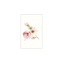 Wandbild Magnolia Breathe 50x70 cm ^ Komar Outlet