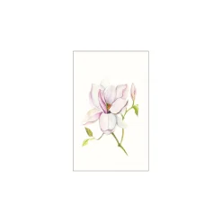 Wandbild Magnolia Shine 50x70 cm ^ Komar Sale