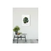 Wandbild Monstera Leaf 50x70 cm ^ Komar Hot
