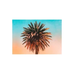 Wandbild Palm Tree 70x50 cm ^ Komar Online