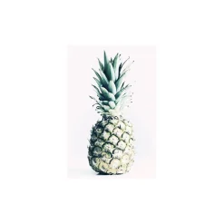 Wandbild Pineapple 50x70 cm ^ Komar
