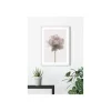 Wandbild Rose 50x70 cm ^ Komar Discount