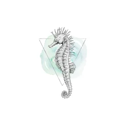 Wandbild Sea Horse Watercolor 50x70 cm ^ Komar Hot