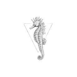 Wandbild Sea Horse White 50x70 cm ^ Komar Outlet