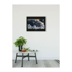 Wandbild Star Wars Classic Asteroid 70x50 cm ^ Komar Online