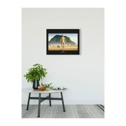 Wandbild Star Wars Classic Droids 70x50 cm ^ Komar Clearance
