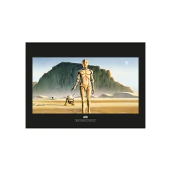 Wandbild Star Wars Classic Droids 70x50 cm ^ Komar Clearance