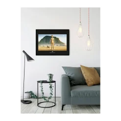 Wandbild Star Wars Classic Droids 70x50 cm ^ Komar Clearance