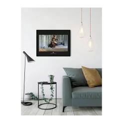 Wandbild Star Wars Classic Endor Speeder 50x40 cm ^ Komar New