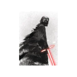 Wandbild Star Wars EP9 Kylo Vader Shadow 50x70 cm ^ Komar Online