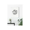 Wandbild Succulent Aeonium 50x70 cm ^ Komar Sale