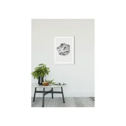 Wandbild Succulent Aeonium 50x70 cm ^ Komar Sale