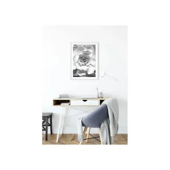 Wandbild Succulent Closeup 50x70 cm ^ Komar Sale