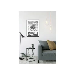 Wandbild Succulent Closeup 40x50 cm ^ Komar New