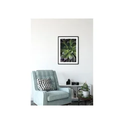 Wandbild Succulent Single 50x70 cm ^ Komar Discount