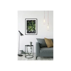 Wandbild Succulent Single 50x70 cm ^ Komar Discount