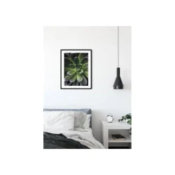 Wandbild Succulent Single 50x70 cm ^ Komar Discount