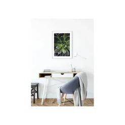 Wandbild Succulent Single 40x50 cm ^ Komar Online