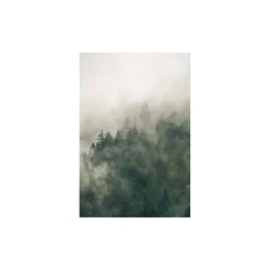 Wandbild Tales of the Carpathians 50x70 cm ^ Komar Discount