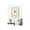Wandbild Transparent Leaf 50x70 cm ^ Komar New
