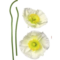 Wandtattoo Pavot Blanc 50x70 cm ^ Komar Best
