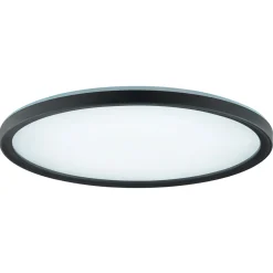 LED DL Avola 29,3cm 18W sw 2400lmCCT dimmbar Nachtlicht Timer FB ^ Brilliant Discount