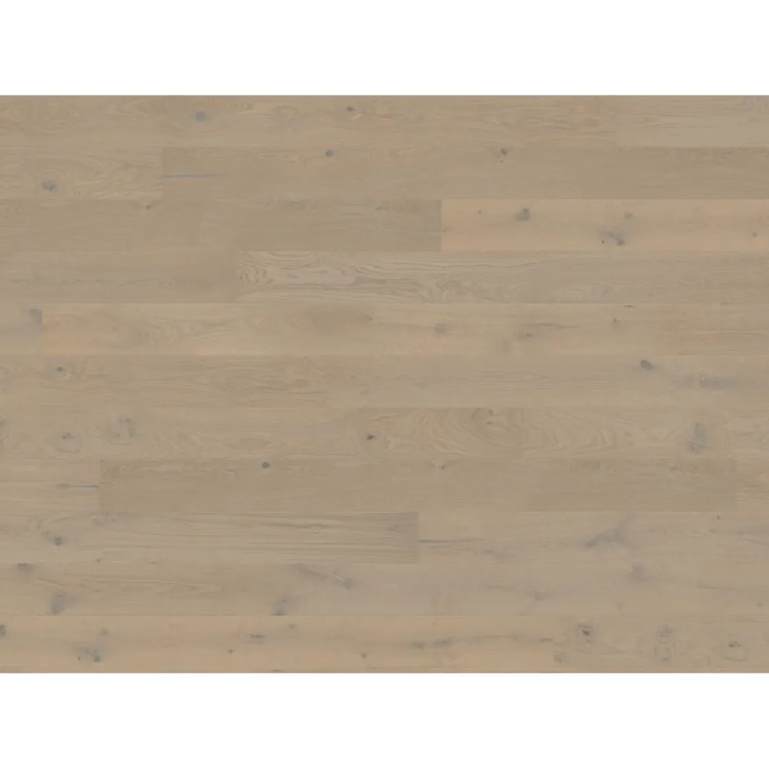 Parkett Landhausdiele 12mm 2V Eiche grey strukturiert Naturöl ^ Living by HARO Best