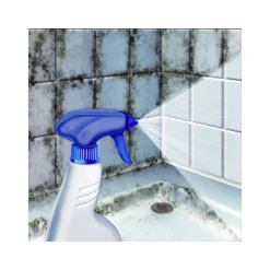 Schimmelvernichter 500ml ^ MEM Sale