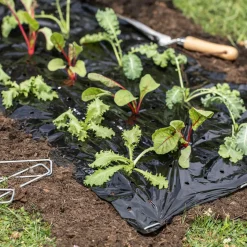Mulch-Folie 10x1,2m ^ Windhager Discount