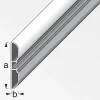 Schiene Coaxis 1m breit ^ MyTool