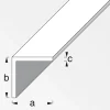 Winkel 10 x 10 x 1 mm 1m schwarz ^ MyTool