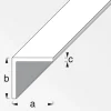 Winkel 10 x 10 x 1 mm 1m weiß ^ MyTool Best