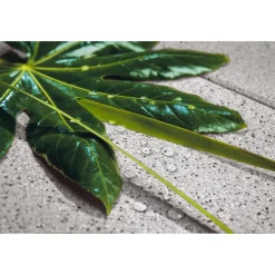 No. 1 Edition -Granit 60/40/4cm ^ Diephaus New