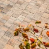 No. 1 Light muschelkalk 40x20x4cm ^ Diephaus Clearance