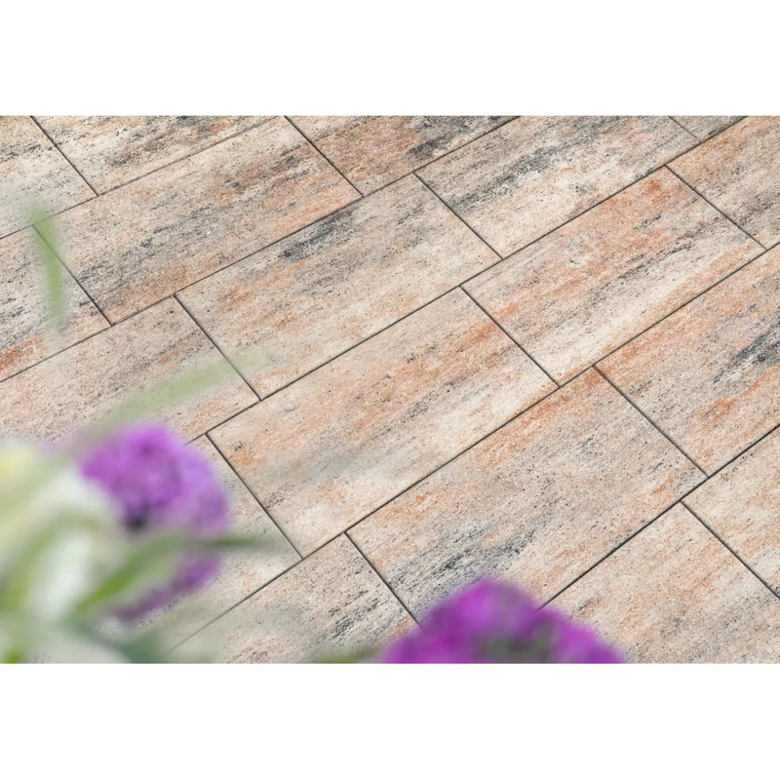 No. 1 Nature Muschelkalk 60x60x4 cm ^ Online