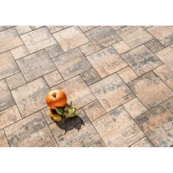 No. 1 Nature Muschelkalk 60x60x4 cm ^ Online