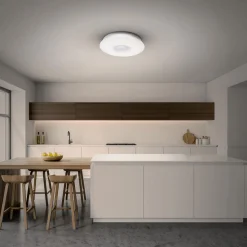 LED-Deckenleuchte Ottawa mit Bluetooth weiß ^ näve Clearance