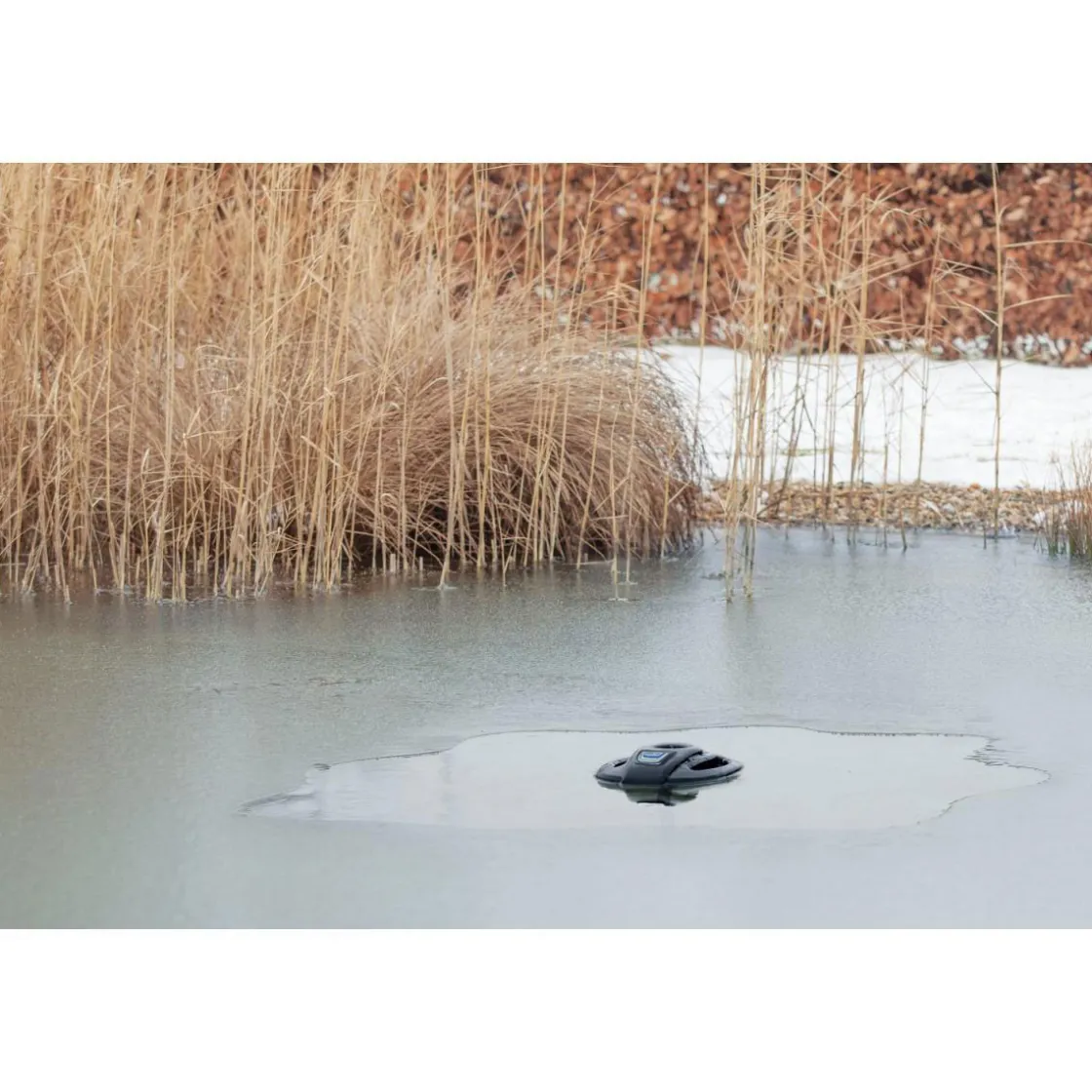 Eisfreihalter IceFree 4 Seasons ^ Oase Clearance