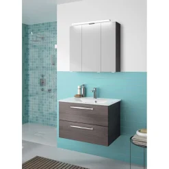 LED-Spiegelschrank Trentino inkl Leuchtmittel grau 75 x 70 x 20 cm ^ Pelipal Online